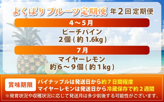 【定期便】よくばり定期便（ピーチパイン、マイヤーレモン）年2回