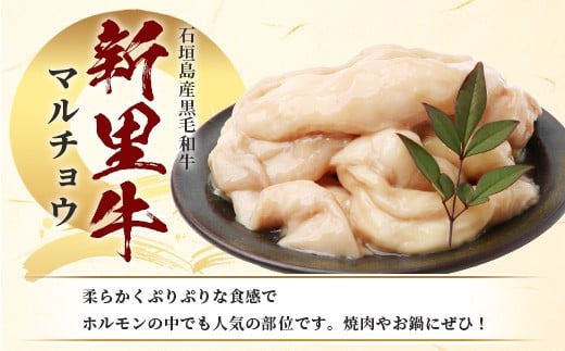 石垣島産 黒毛和牛 新里牛 マルチョウ(500g×2) 合計1kg SZ-22