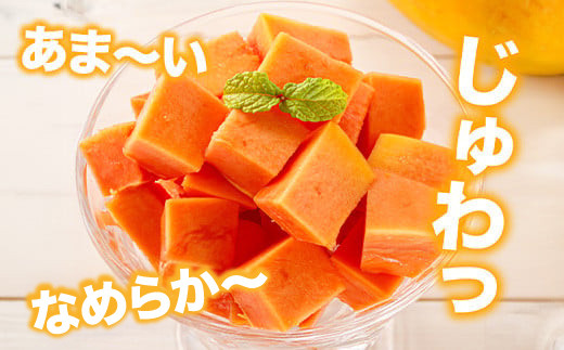 フルーツパパイヤ４kg 【 パパイヤ フルーツパパイヤ 果物 くだもの フルーツ 果実 国産  沖縄県 沖縄 石垣 石垣島 石垣市 】ZH-14