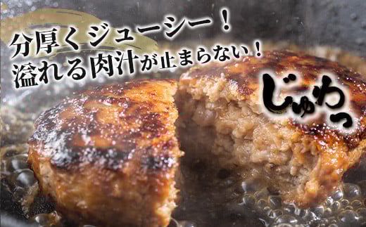 石垣牛 ハンバーグ ≪100g10個≫（八重山パーツミート）【 ビーフハンバーグ 手作り ハンバーグ いしがき牛ハンバーグ 石垣牛 】I-9 