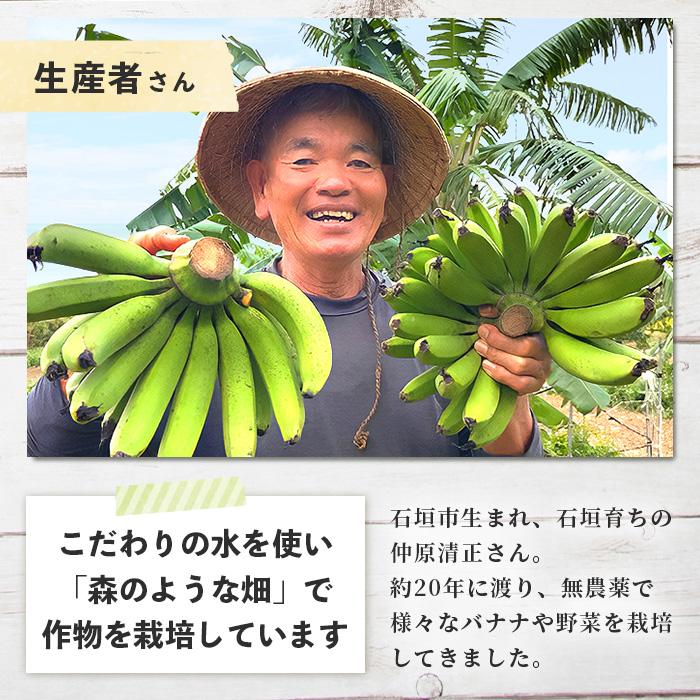 希少！こだわりの水を使い「森ような畑」で栽培する、仲原さんのバナナ【 沖縄県 石垣島 石垣島産 バナナ ばなな 農薬不使用 化学肥料不使用 】OI-16