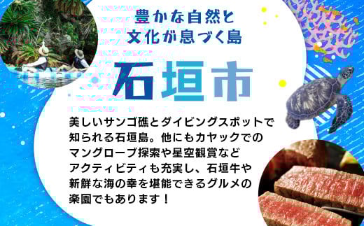 HISの沖縄県石垣市の対象ツアーに使えるふるさと納税クーポン券300,000円分【 沖縄県石垣市 石垣市 石垣島 ツアー HIS クーポン 券 300000 】HS-6
