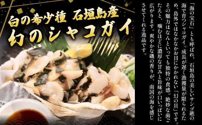 石垣島産 シャコガイ 刺身 200g (100g×2パック) | シャコガイ 貝 刺し身 沖縄県 石垣市 送料無料 天然 急速冷凍 刺身 お刺身 数量限定 ヤエスイ