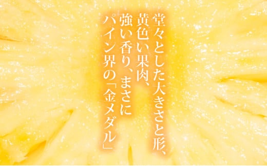 ＜先行予約＞ 石垣島産 黄金パイン 中玉 2玉 約2.6kg ＜2026年7月以降発送＞【 産地直送 沖縄 石垣 フルーツ パイナップル パイン 黄金パイン 】 SI-120 中玉 2玉 約2.6kg