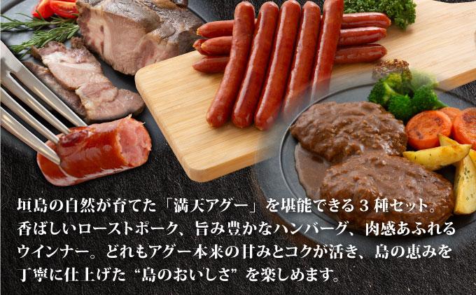 満天アグー 3種セット (ローストポーク 300g ハンバーグ 150g×2 ウインナー 200g×2) | ふるさと納税 沖縄県 石垣市 石垣 沖縄 石垣島 ふるさと 人気 送料無料 アグー 豚 豚肉 ポーク 3種セット