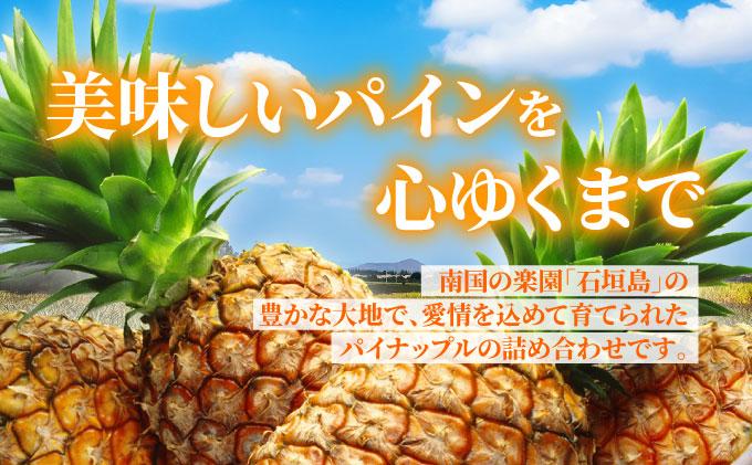 【訳あり】 石垣さんちのおすすめパイン詰め合わせ 8～10玉  (約5kg)《2026年4月中旬から順次発送》 TP-21