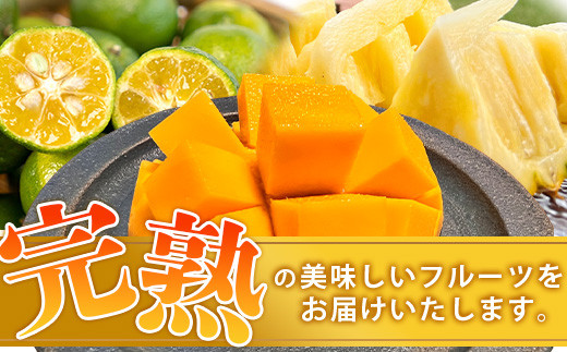 《2024年6月下旬～7月末発送》【先行予約】島の美味しい詰め込んだよくばりセット！【 産地直送 沖縄 石垣島 石垣 八重山 マンゴー、パイナップル、シークワーサー フルーツ くだもの 果物 】TF-9