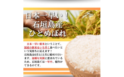 【石垣島産ひとめぼれ】日本最南端の日本一早い新米・10kg　【 沖縄県 石垣市 米 お米 新米 5kg×2袋 】SI-59-1