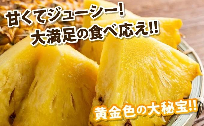 【先行予約2026年5月下旬順次発送】最高糖度20度！？石垣島産完熟ゴールドバレル 2玉 約2.5kg