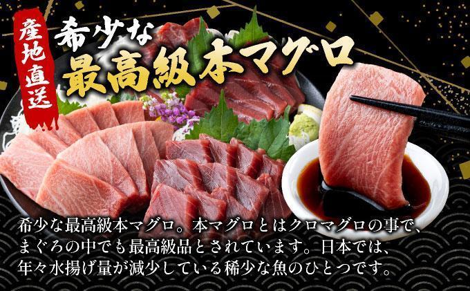 【数量限定】石垣島産 天然本マグロ 中トロ 約400g ヤエスイ ＜2025年6月下旬より発送＞ | 産地直送 中トロ 中とろ 国産 まぐろ 鮪 天然 赤身 魚 お刺身 本まぐろ マグロ 沖縄県 沖縄 琉球 八重山 八重山諸島 石垣島 石垣 石垣島産 <先行予約>中トロ約400g