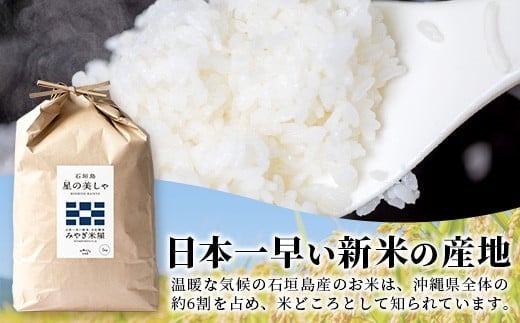 【定期便３回】３ヶ月連続お届け 石垣島産 星の美しゃ（ほしのかいしゃ）15kg（5kg×3回）【 日本一早い新米の産地 ふるさと納税 沖縄県 石垣市 石垣島 米 星 星の美しゃ】MK-6
