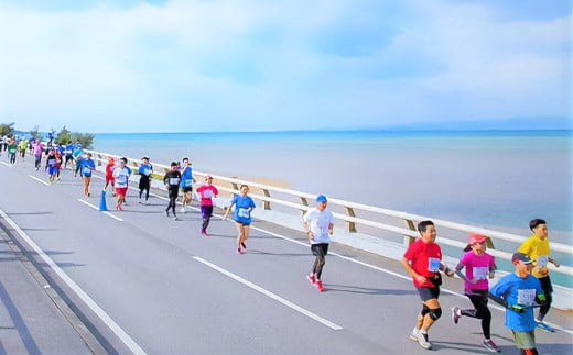 【限定30名・特典アリ】第23回石垣島マラソン 10kmマラソン出走権 AAA-7_R8