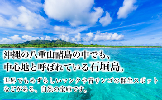 ホテルグランビュー石垣The First　ツイン宿泊利用券（1泊朝食付き） ツイン宿泊利用券（1泊朝食付き）