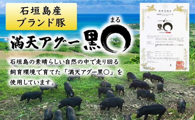 満天アグーお肉ゴロゴロカレー230g×3袋 SM-01