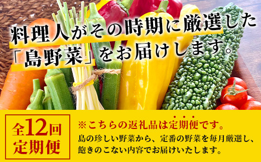 【定期便 12ヶ月】料理人が厳選した島野菜 (6～10品目×12回)  【 産地直送 野菜 野菜詰合せセット  やさい セット 詰め合わせ 冷蔵対応 沖縄県 石垣市 八重山 】 TM-8