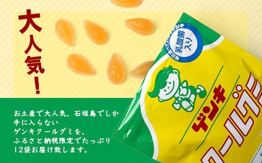 【島外不出のゲンキくんグッズが返礼品に!!】八重山ご当地キャラクターゲンキくん クールグミ 12袋【八重山ゲンキ乳業 お土産 観光 ゲンキくん ゲンキクール サイダー 乳酸菌入り】OP-3【日本最南端寺院石垣島桃林寺 ご祈祷ステッカー付】