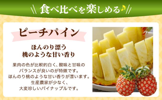 ＜先行予約＞ ピーチパイン スナックパイン 各2玉セット ＜2026年4月発送＞ | 沖縄県 石垣市 石垣島産 パイン パイナップル ZH-024