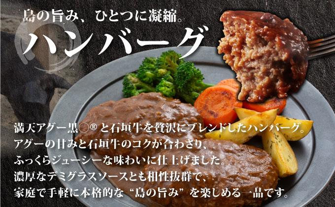 満天アグーと石垣牛のハンバーグ 150g×4 | ふるさと納税 沖縄県 石垣市 石垣 沖縄 石垣島 ふるさと 人気 送料無料 アグー 豚 豚肉 ポーク ハンバーグ 150g×4