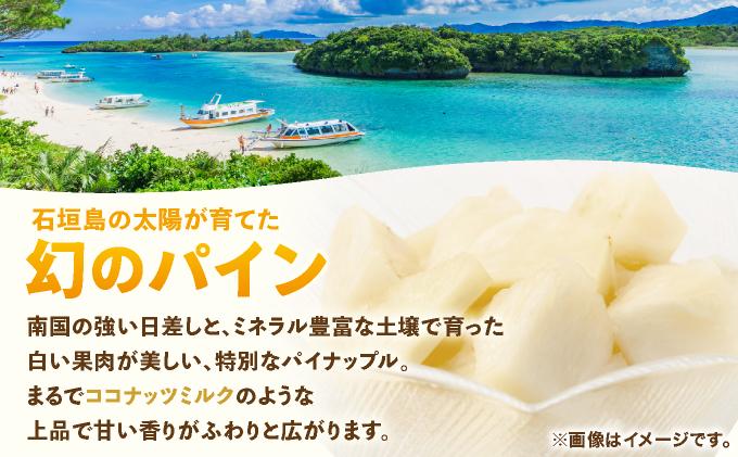 ≪6月上旬順次発送≫ 石垣島産パイナップル　ホワイトココ　3玉（約3kg）