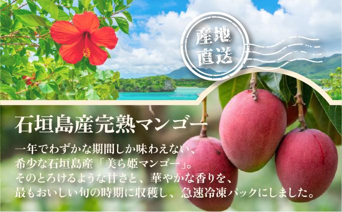 冷凍美ら姫マンゴー 1kg（500g×2袋）CB-3 1kg