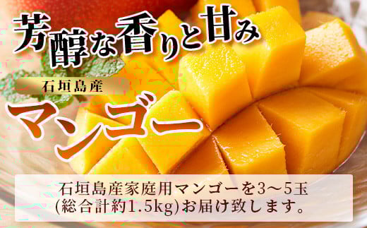 ＜先行予約＞ 石垣島産 マンゴー (アーウィン種) 約1.5kg (2〜5玉) 家庭用 ＜2026年6月順次発送＞ | 産地直送 家庭用 訳あり 沖縄県 石垣市 石垣島 JA 訳ありマンゴー マンゴー アーウィン AE-11
