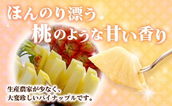 ＜先行予約＞ ピーチパイン 4玉 ＜2026年4月発送＞ | 沖縄県 石垣市 石垣島産 パイン パイナップル ZH-017