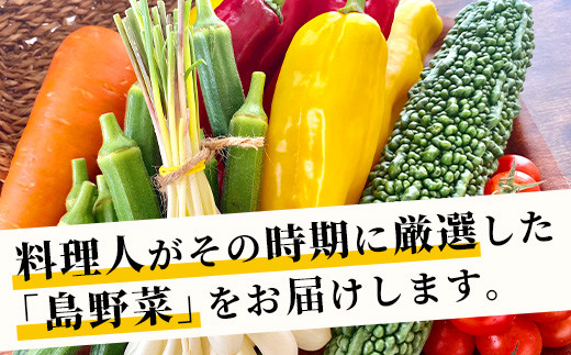 料理人が厳選した島野菜盛り合わせ (6～10品目) 【産地直送 野菜 野菜詰合せセット  やさい セット 詰め合わせ 冷蔵対応 沖縄県 石垣市 八重山 】TM-7