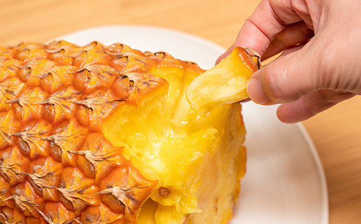 【農林水産大臣賞受賞】【予約受付】當銘さんグループのスナックパイン２．２ｋｇ（２玉～５玉）【2026年4月20日より順次発送予定】YK-2