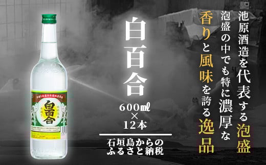 IK-9 池原酒造 白百合 600ml 30度 12本セット 