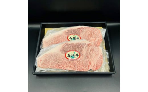 石垣牛 特選 サーロインステーキ 250g×2枚  沖縄県 石垣市 石垣島 サーロイン 牛肉 黒毛和牛 E-51