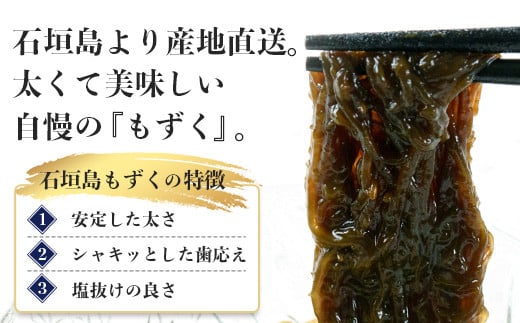 【石垣島産もずく定期便６回】2か月に1回『500g×6パック』を計６回お届けします！【 沖縄県 石垣市 養殖 水雲 海藻 もずく フコイダン  塩もずく 太もずく 沖縄もずく 定期便 定期配送 】SI-100