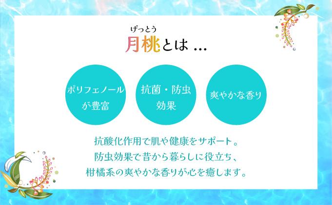 幸－美彩－さちちゅらいろ 月桃バーム（10g）OA-01 10g