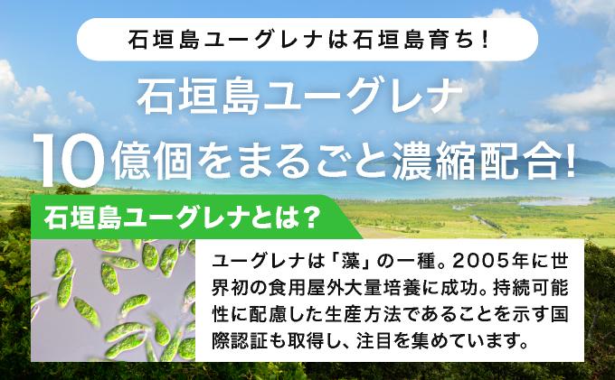 【定期便】《12ヶ月》からだにユーグレナ グリーンスムージー乳酸菌 (195g×15本×12回) | ユーグレナ スムージー 健康飲料 乳酸菌飲料 健康 栄養 栄養価 ふるさと 沖縄県 沖縄 石垣 石垣島 石垣市 定期便12回