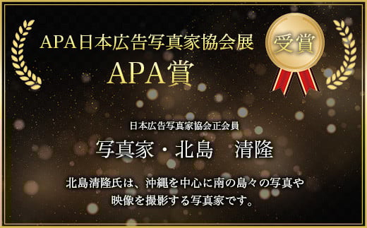 13種類から選べる ISHIGAKI壁掛けアクリルフォト A2 BS-4【沖縄県石垣市 沖縄 沖縄県 琉球 八重山 八重山諸島 石垣 石垣島 送料無料 写真 アクリル フォト 壁掛け】