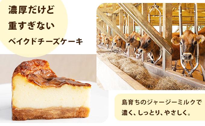 ジャージーミルクのベイクドチーズケーキ 【石垣島 まぁじゅんのジャージー牧場】 F-4
