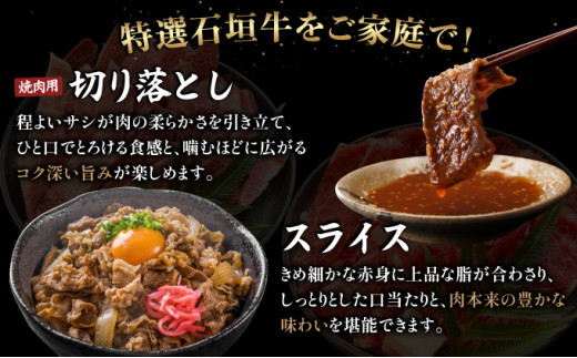 【2025年11月以降順次発送】希少な特選石垣牛をご家庭で！！切り落とし焼き肉用とスライスの大満足食べ比べ 合計1.2kg &石垣牛 MARU秘伝の焼肉タレ100ml×1本 | 沖縄 石垣 特選 牛 切り落とし スライス 食べ比べ 焼き肉 しゃぶしゃぶ すき焼き タレ | IM-33 切り落とし＆スライス 各300g×2