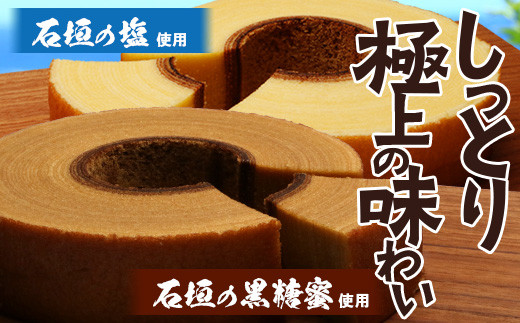 石垣島 やし屋手作り 石垣の塩バウムクーヘン×1箱 ＆ 黒糖バウムクーヘン×1箱（合計2箱）【 沖縄県 石垣市 石垣島 石垣の塩 菓子 バウムクーヘン さとうきび 黒糖 】YA-3