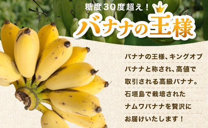 ≪2026年4～10月順次発送≫ 石垣島産 希少な国産『ナムワバナナ』を贅沢に1房丸ごと約1.5-2kg（12-20本） TF-102_R8 約1.5-2kg（12-20本）