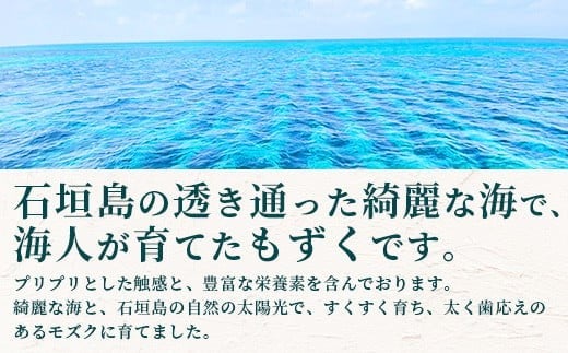 石垣島産 海人の味付け海雲(もずく) 1.5kg (250g×6)