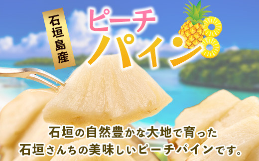 【先行予約】 《2026年5月上旬頃より順次発送》石垣島産 ピーチパイン (6玉 約5㎏)【 産地直送 沖縄 石垣 パイナップル フルーツ 】 TP-12 6玉　約5kg