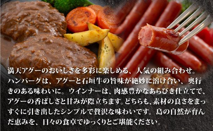 満天アグー 2種セット (ハンバーグ 150g×2 ウインナー 200g×2) | ふるさと納税 沖縄県 石垣市 石垣 沖縄 石垣島 ふるさと 人気 送料無料 アグー 豚 豚肉 ポーク 2種(ハンバーグ＆ウインナー)