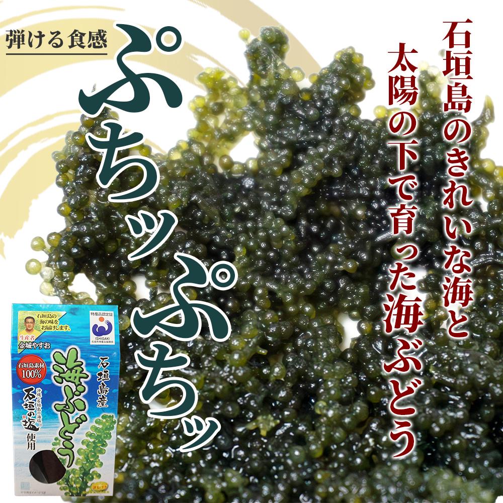 沖縄の海の恵み　海ぶどう＆アーサ　CK-09