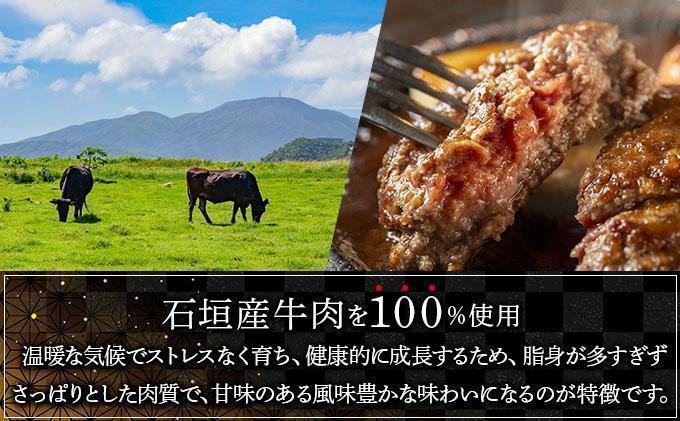 【2026年3月発送】石垣産経産牛ハンバーグ150g×6/箱 2026年3月発送
