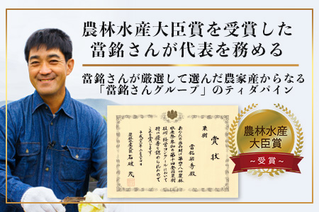 YK-7 當銘さんの完熟カットパイン３袋＆石垣産カットマンゴー２袋（計：１．２５ｋｇ）