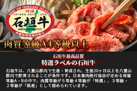 石垣牛特選すきしゃぶ600g AB-6