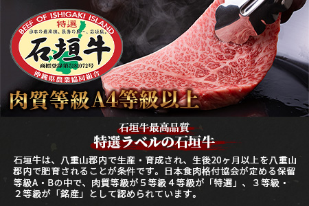 石垣牛特選サーロインステーキ200g×3枚 AB-20