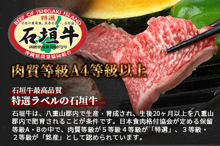【訳あり】石垣牛 焼肉用　(不揃い)　500g　AB-26