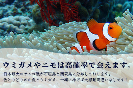 【体験ダイビング】石垣島で体験ダイビング1日コース（1名様） MO-1