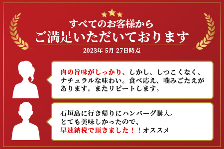 石垣牛ハンバーグセット100g×10個＜2025年10月発送＞| 国産 石垣牛100% 沖縄 石垣島産 高級 黒毛和牛 ビーフ ハンバーグセットA-006_10