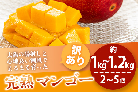 【予約販売】【訳あり】 完熟 マンゴー (約1～1.2kg 2～5個)B級 《2025年7月上旬から順次発送》 産地直送 フルーツ 果物 マンゴー  石垣 沖縄 KP-13